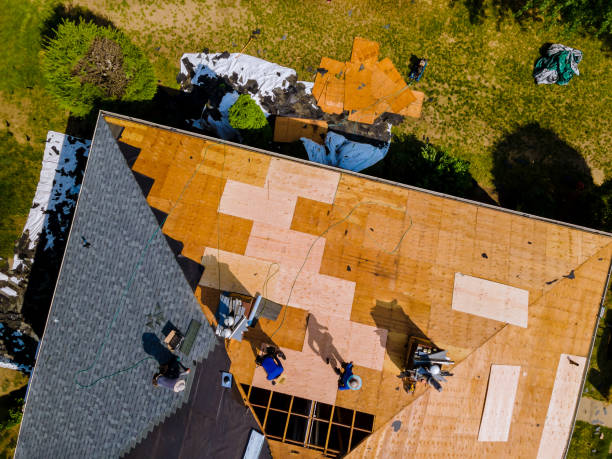 Best Roof Gutter Cleaning  in Portland, TX