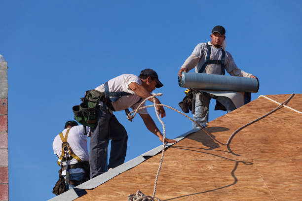 Roof Gutter Cleaning in Portland, TX